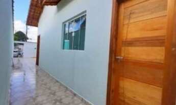 Imagem 5: Pavuna sua chance