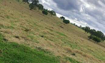 Imagem 2: INOCÊNCIA - RURAL - Zona Rural