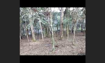 Imagem 3: Chácara na roseira