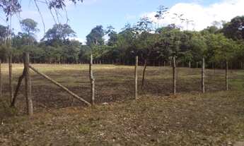 Imagem 2: VENDE-SE TERRENO TARUMÃ-AÇÚ