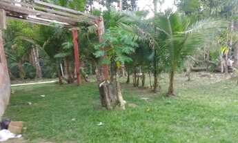 Imagem 3: Sítio Chácara com venda por R$60.000