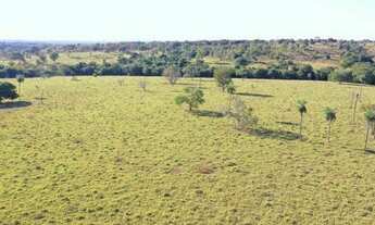 Imagem 5: Excelente Fazenda - Santa Terezinha de Goiás