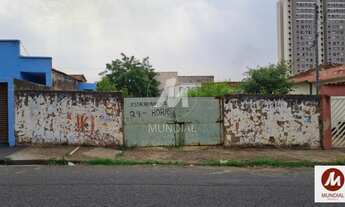 Imagem 6: Casa (térrea na rua) 16 dormitórios, cozinha planejada