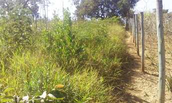 Imagem: Grande oportunidades de comprar seu lote