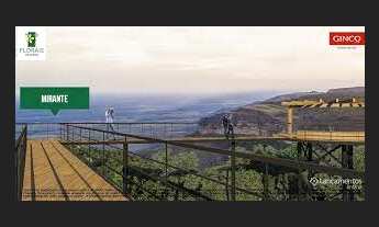 Imagem: Oportunidade florais chapada