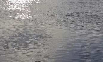 Imagem 2: Um dormitório mobiliado - Centro de Tramandaí