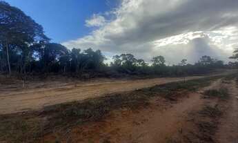 Imagem 6: Sítios de 1.000m² em Arembepe, Linha Verde-BA Oportunidade