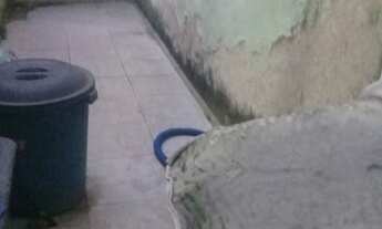 Imagem 5: Casa em Rocha Miranda