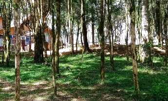 Imagem 3: Linda chácara com casa tipo chalé