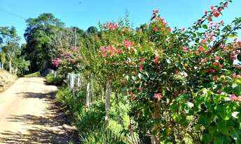 Imagem 2: ANITÁPOLIS/SC - Lindo sítio pronto para morar