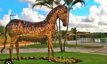 Imagem 3: Haras Residence 63495