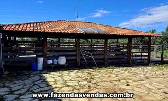 Imagem 5: Fazenda 25,5 alqueires município de Corumbá de Goiás
