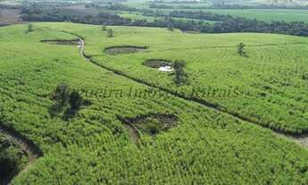 Imagem 5: Sítio com 26,5 alqueires em Itapetininga - SP (Nogueira Imóveis Rurais