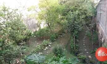 Imagem 7: São Paulo - Casa Comercial - Vila Guilherme