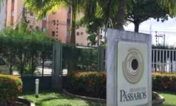 Imagem: Recanto dos pássaros- Oportunidade