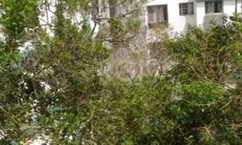 Imagem 7: Apartamento para Venda - 59.45m², 2 dormitórios, Nonoai