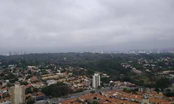 Imagem 6: PRÉDIO SEMI NOVO, APARTAMENTO COM FINO ACABAMENTO, NO MELHOR DA VILA MASCOTE !