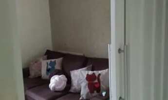 Imagem 3: Casa à venda no Pq. Vitória Régia, Sorocaba/SP