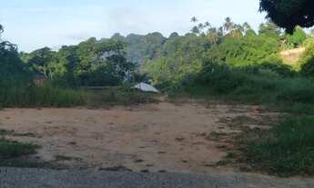 Imagem 5: Vendo excelente lote na linha verde