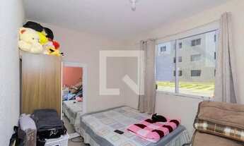 Imagem 7: Apartamento para Aluguel - Rio Branco, 2 Quartos, 42 m2