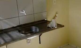 Imagem 4: Alugo casa 2/4 Coophab