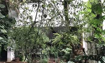 Imagem 3: Sobrado em rua tranquila e arborizada na Vila Mariana