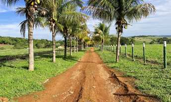 Imagem: Chácara de 02 alqueires e 27 litros em