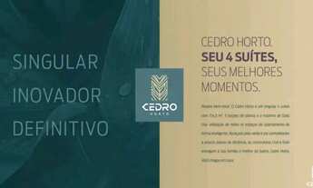 Imagem 2: Cedro Horto Florestal