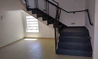 Imagem 7: Alugo Apartamento Jd. Icaraí Campinas, 2 Quartos