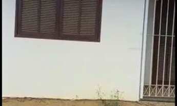 Imagem 6: Vendo Casa Casa com 5 dormitórios