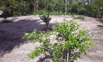 Imagem 4: Vendo Terreno 30X50 Região da cacimba velh