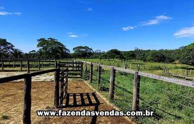 Imagem 2: Fazenda 25,5 alqueires (Corumbá de Goiás) com curral