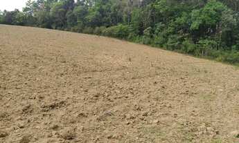 Imagem 7: Sítio, Ribeirão Branco