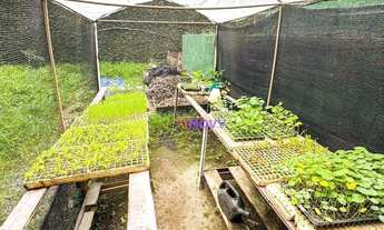 Imagem 7: Terreno à venda, 1762 m² por R$ 350.000,00 - Badu - Niterói/RJ