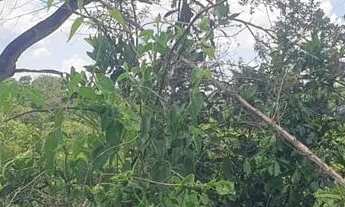 Imagem 4: Ajio de chácara