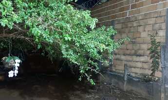 Imagem 6: Vendo casa Aclimação lote único