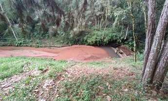 Imagem 5: Sítio com 2 casa piscina Morungava Gravataí parada 92