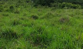 Imagem 7: Fazenda à Venda em Crixás (GO) 30 Alqueires Estrutura Completa