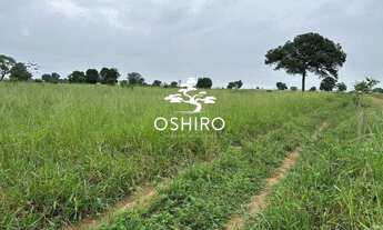 Imagem 4: FAZ. DUPLA APTIDÃO EM BRITÂNIA GO - NIL. CÓD. 13712