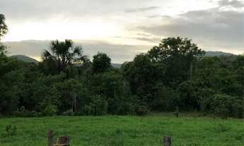 Imagem 2: Vende-se Chácara