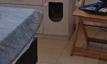 Imagem 2: Vendo casa com árvores frutíferas