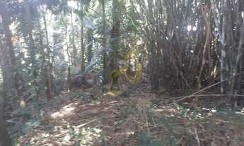 Imagem: ÓTIMO TERRENO NO MORUMBI