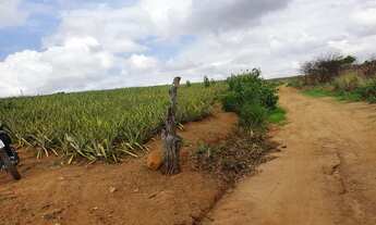 Imagem 5: Vendo 1 tarefa e meia de terra vendo ou troco p algo