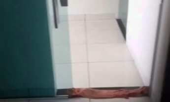 Imagem 3: Vendo OU TROCO, casa ou prédio de dois andares, POR SÍTIO, COM MAIS DE 27 HECTARES