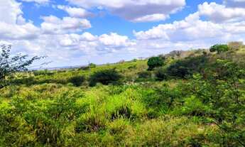 Imagem 7: 34,5 Tarefas (150.282m²