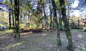 Imagem 5: Terreno à Venda em Canela, na Vila Suzana!