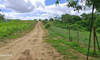Imagem 3: SÍTIO EM CONCEIÇÃO DO JACUÍPE - 15 TAREFAS