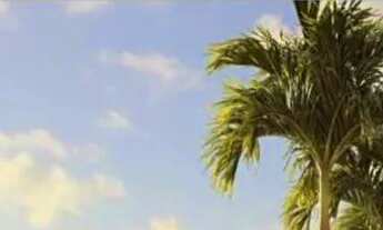 Imagem: Concept Jardins - Em Frente ao Shopping