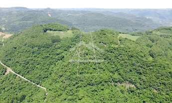 Imagem 6: Área de terra com potencial de vista à venda em Picada Café na Serra Gaúcha