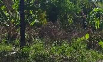 Imagem: Vende ou trouco